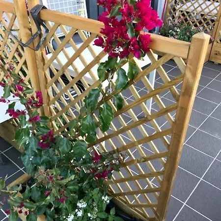 Water Lily Boutique And 게스트하우스 Hévíz