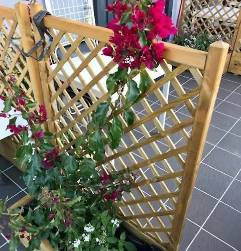 Water Lily Boutique And Гостевой дом Хевиз
